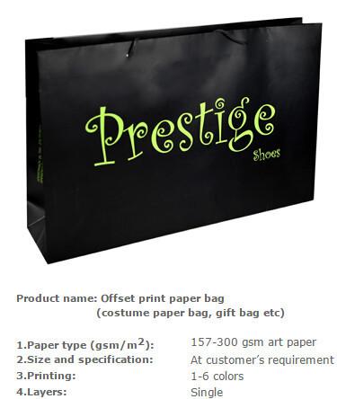 Nice Design Paper Shopping Bag , Recycle / Environmental Luxury Shopping Paper