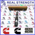 Cumminns Injector QSK23 QSK60 4326780 4088431 4902827 4326781 4010160 4984457