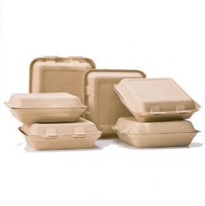 Wholesale Eco Food Serving Tools Biodegradable 1000ml Takeaway Food Container from china suppliers
