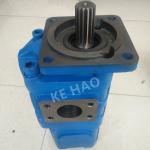 CBGJ Double Pump Square cover Spline Blue Compact Original Gear Pump For