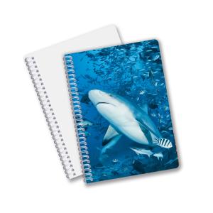 Wholesale Hot Selling School Stationery 3D Lenticular Printing Diary Notebook for Souvenir from china suppliers