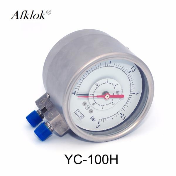 Stainless Steel Gas Pressure Test Gauge Double Needle Double Pipe Structure