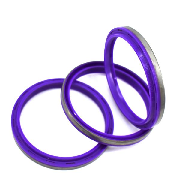 Dust Seal DKBI Hydraulic Cylinder Industrial Double-Lip oil Seal For Constructio