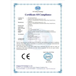 Guangzhou LiRo Lighting Co., Ltd. Certifications