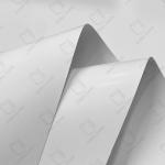 C1S Ivory Board For Gift Box Packaging White / white
