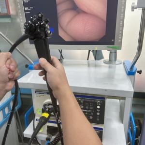 Wholesale Flexible Endoscope Medical Device Repair Training Equipment Repair Technician Training from china suppliers