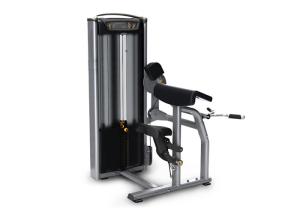 Wholesale Commercial Gym Matrix Strength Training Equipment / Biceps Curl Machine from china suppliers