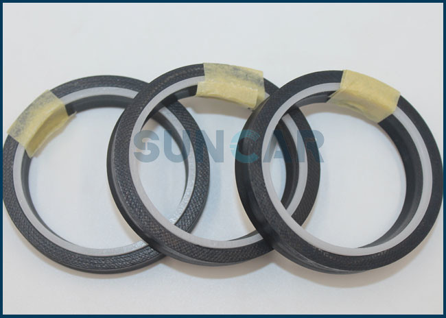 TSE/AI-2054 Piston Rod Seal Ring 196157/1-AI For Hydraulic Cylinder