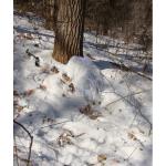 3x 4x Army Ghillie Suit Camouflage Outdoor Ultralight Tactical Military