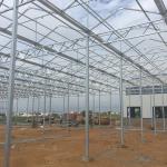 Commercial Polycarbonate Greenhouse for Versatile Vegetable Fruit and Flower