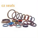 NBR FKM Acm Silicone PTFE Shaft Bearing High Pressure Rubber Oil Seal customized