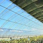 Plastic Sheet Blackout Greenhouse for Seedling Cultivation and Medical Plant