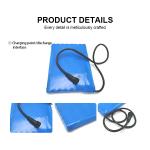 18650 12v 20ah Li Ion Battery Pack OEM Lithium Battery Pack