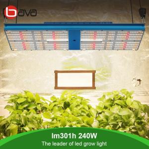 Wholesale 240W SAMSUNG LM301H Board V4 QB 550 UV IR LED Grow Light Meawell Driver from china suppliers