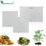 100W Horticulture SMD Chip Voltage 240v Led Grow Light Board