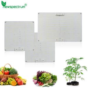 Wholesale High Brightness Horticulture SMD Chip 5000K Circuitry Design Led Grow Light from china suppliers