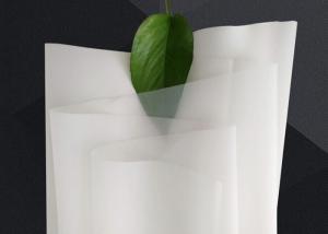 Wholesale 50m Length 5 50 100 Micoron ROSH Nylon Filter Mesh from china suppliers