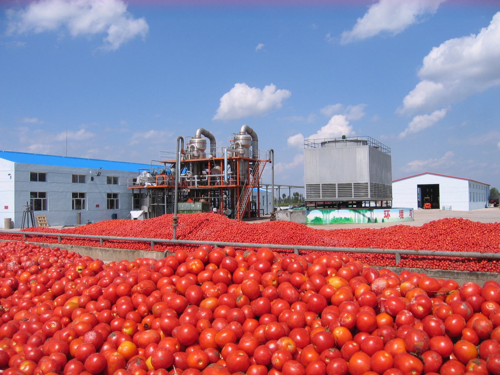 1-100t/H Pomegranate Juice Processing Line Carrot/Apple/Strawberry/Tomato/Pear Juice Jam Beverage Production Line