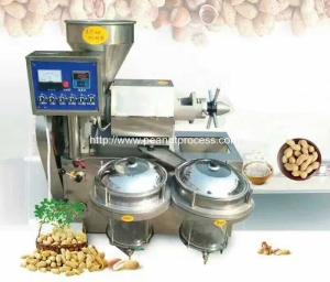 Wholesale Automatic Peanut Oil Pressing Machine with Vacuum Filter from china suppliers