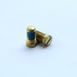 SS302 Anti Loosening Screw M2x5mm Anodized Sandblasting ISO Approved