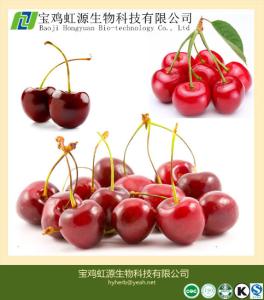 Wholesale 100% Soluble Acerola Cherry Extract Powder from china suppliers