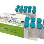 Ampoule Vial Blister Packing Machine Production Line Fully Automatic