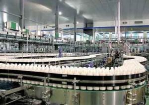 Wholesale PET Bottle Beverage Making Machine Producing Walnut Peanut Milk / Corn Juice from china suppliers