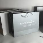 Ribbon Handle Apparel Paper Bag