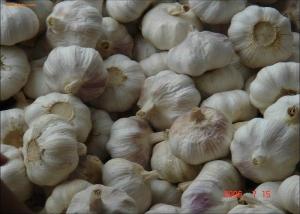 China 2016 New crop fresh natural pure white garlic; common garlic; on sale