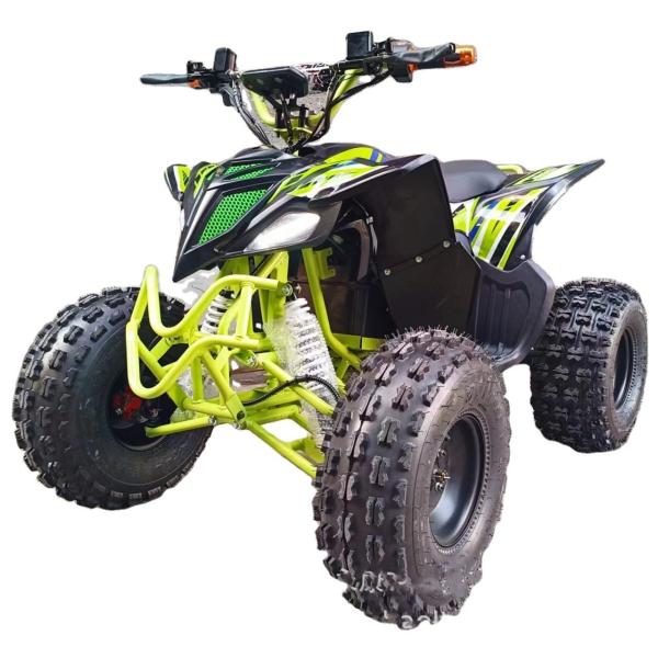 Hot 750w 1000w Electric Moto Buggy Car for Kids and Adults 60v 4x4 Quad Side by