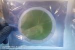 350um Thickness 4h-N 4H-SEMI SIC Silicon Carbide Wafer For Epitaxial