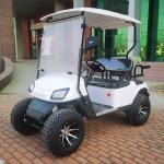 Two-Person Golf Cart with LED Lights Rear Drum Brakes Customizable Color