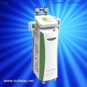 Wholesale 2016 Advanced CE approved fat freezing cryolipolysis body slimming machine from china suppliers