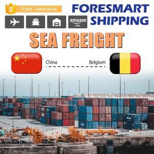 Wholesale 40HQ Shipping From China To Belgium FCL Sea Freight from china suppliers