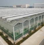 Farm Agriculture Greenhouse Equipments Multi Span Glass Inner Outer Shading