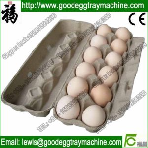 Egg Tray Drier