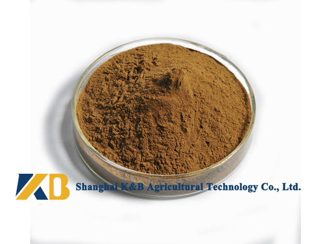 Easy Absorb High Protein Fish Meals Improve Animal Disease Resistance Ability