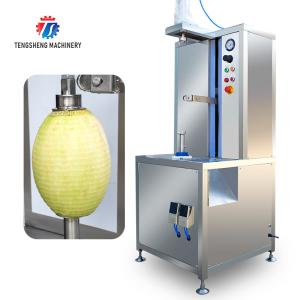 Wholesale 1.0KW 120KG Peeler jackfruit papaya pumpkin wax gourd peeler all kinds of fruit peeling machine from china suppliers