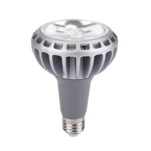 Wholesale E27 LED par30 28W 5000k par30 cob led par30 for comercial lighting from china suppliers