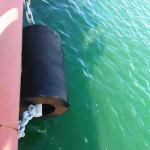 High Performance Cylindrical Rubber Fender Marine Port Ship Boat
