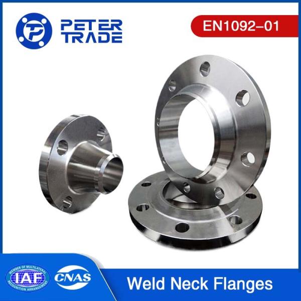 EN1092-01 Stainless Weld Neck Flange TYPE 11 RFWN Flange PN 400 ASTM A182 304