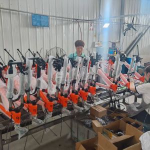 QINGDAO BESTRIDING SPORTS CO.,LTD