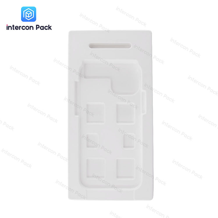 Disposable Sugarcane Pulp Containers Molded Pulp Ovenable White Color