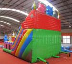 Animal Large Inflatable Slide For Adults / Children 0.9mm PVC Material Made