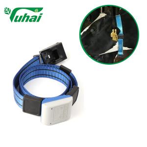 Wholesale Plastic Cow Collar Step Belt Provides Animals Walk Data Animals Woven Belt For Cattle Feeder from china suppliers