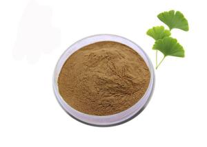 Wholesale Regulate Blood Fat 24/6 Ginkgo Biloba Standardized Extract from china suppliers