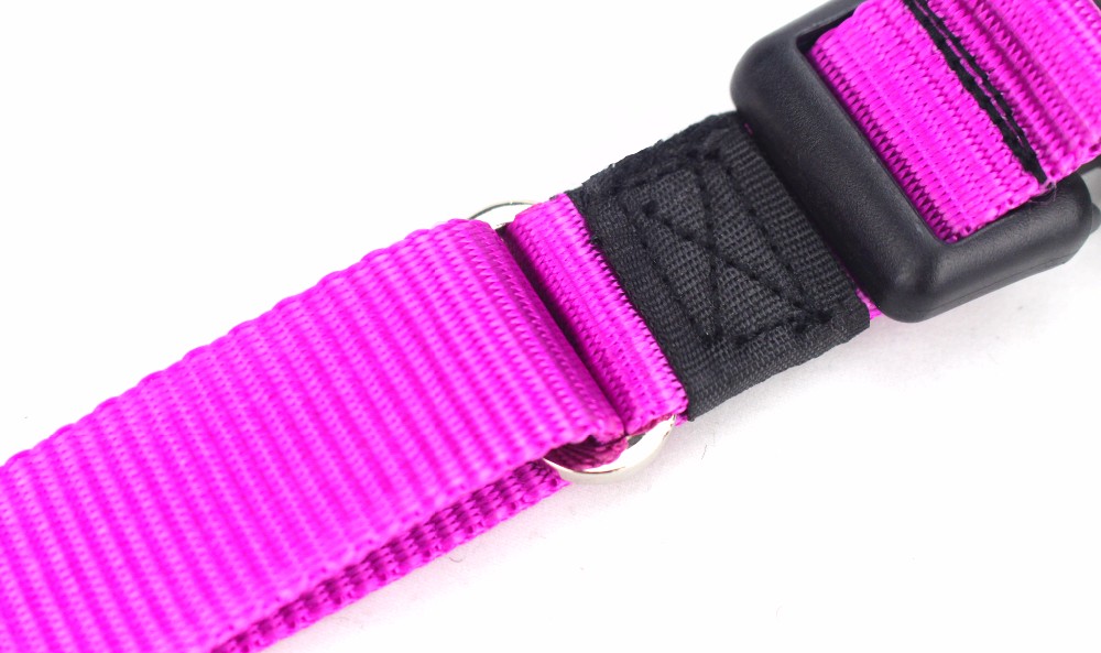 Dog Training Nylon Webbing Collar With Double D Rings Easy Washing