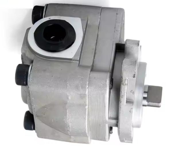 E312C Excavator SBS80 Hydraulic Gear Pump 315 E315 Pilot Pump Parts 1731168 173