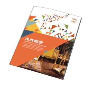 Wholesale Flyers Instruction Booklet Printing 128G 300G Screen Printing Brochure from china suppliers