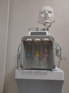 Wholesale Professional Hydrofacial Face Cleaning Machine With Led Light Beauty Equipment 2023 2024 from china suppliers